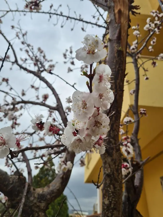 Sole Gibellina Apartment Nuova Gibellina